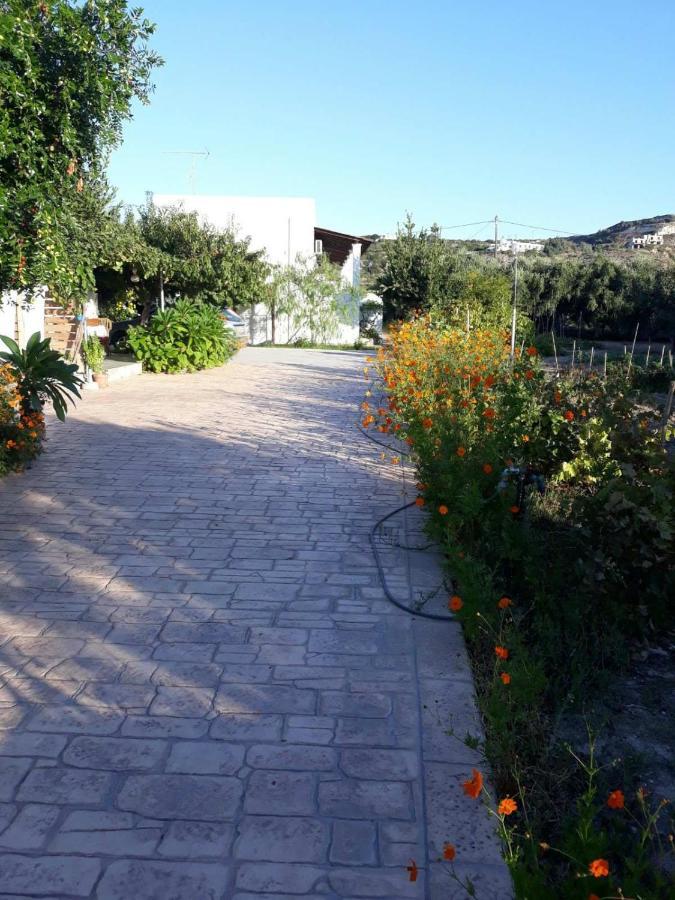 קפלוס Level Houses מראה חיצוני תמונה