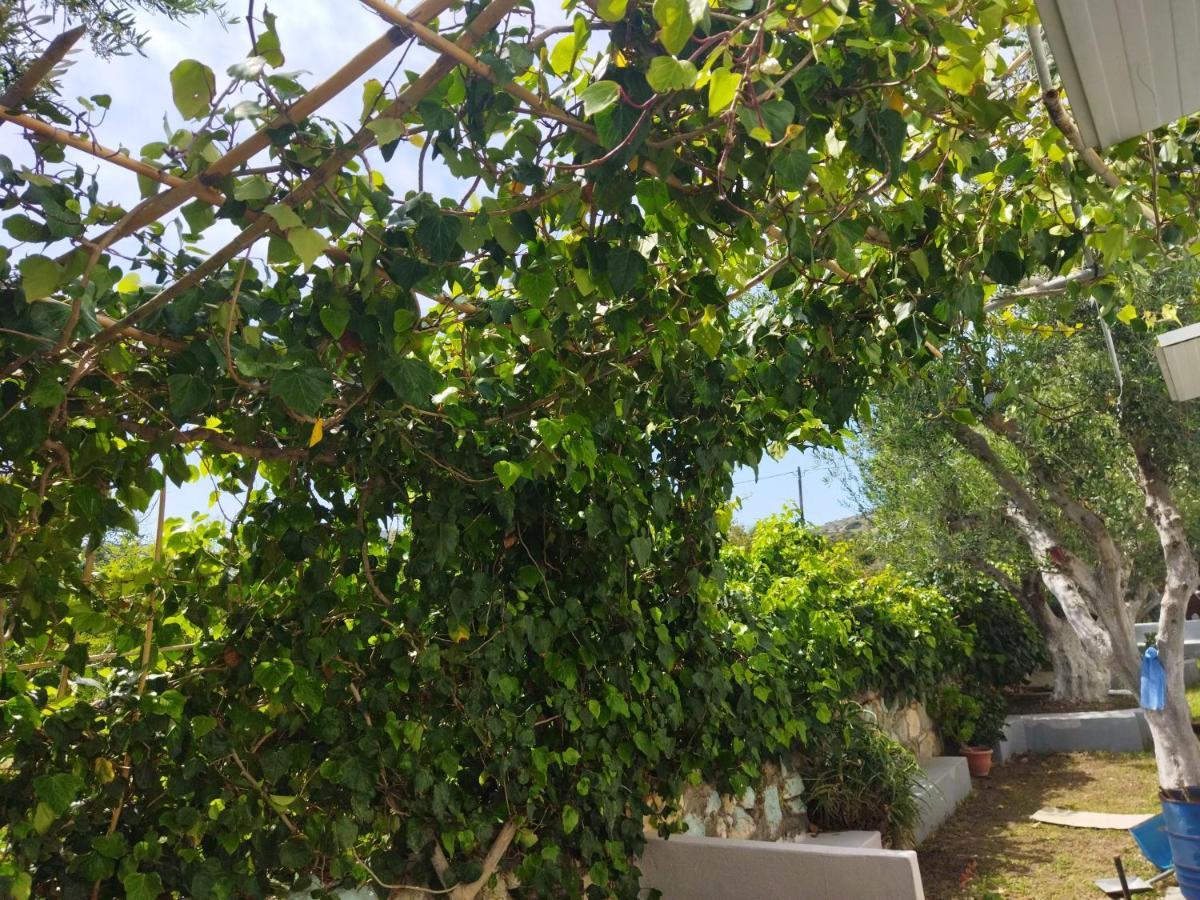 קפלוס Level Houses מראה חיצוני תמונה