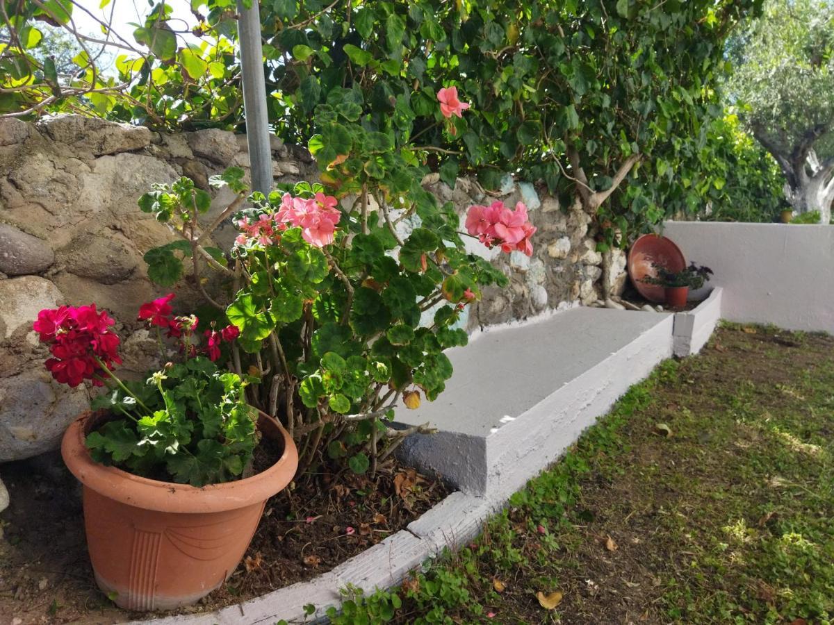 קפלוס Level Houses מראה חיצוני תמונה
