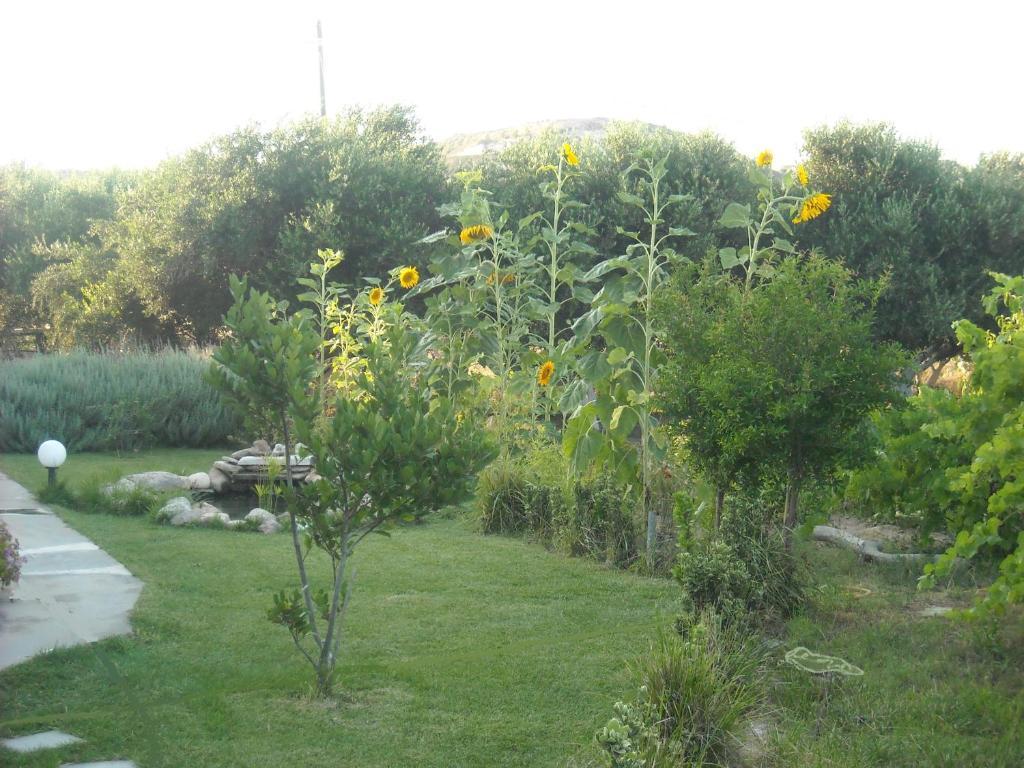 קפלוס Level Houses מראה חיצוני תמונה